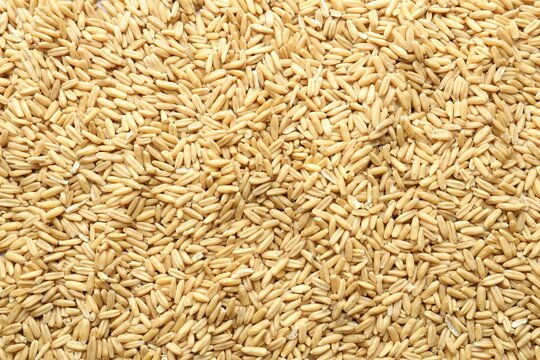 Natural oat grain as background, closeup view