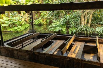 Fototapeta premium Empty Jungle River Boat with Wooden Benches in Tropical Rainforest Eco Tourism and Adventure Travel Concept