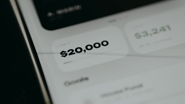 Credit Limit, a maximum spending limit from a banking application