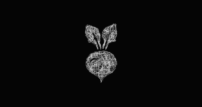 Sketch beetroot icon animation - smooth progressive reveal