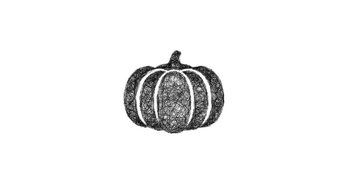 Sketch pumpkin icon animation - smooth progressive reveal