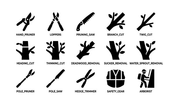 Tree pruning and maintenance tools icons set with safety gear and arborist