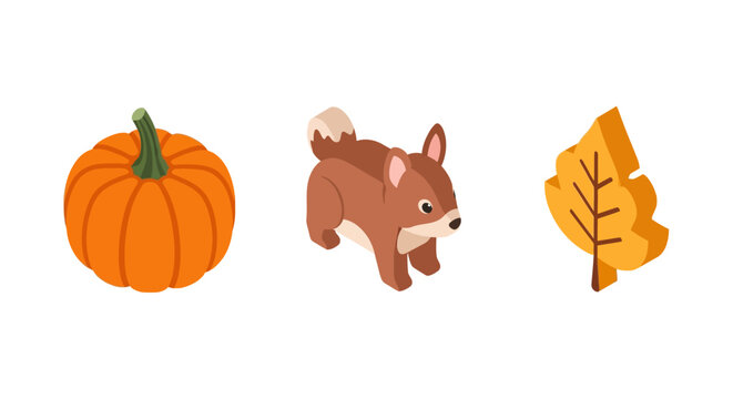Autumn isometric icons: pumpkin squirrel and leaf illustration