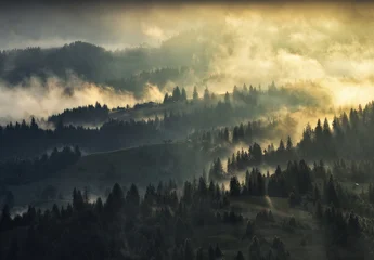 Fototapeten Khaki silhouettes of morning mountains. foggy morning in the Carpathians. Mountain landscape  © sergnester
