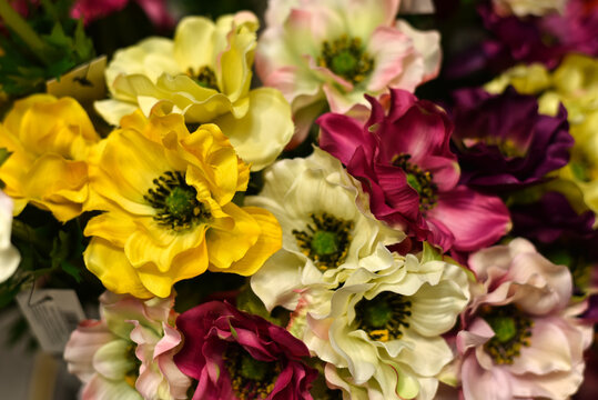 
A bouquet of colorful bright flowers. Spring flowers. Spring floral background.