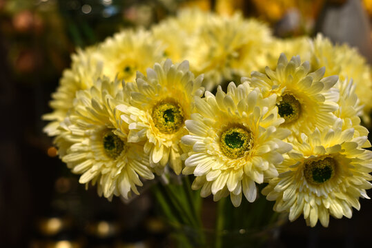Yellow flowers. A bouquet of yellow chrysanthemums.