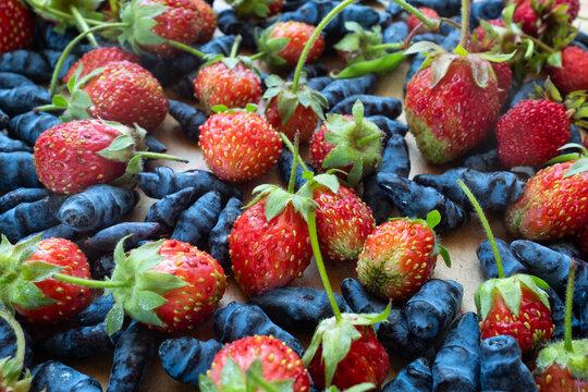 Blue honeysuckle berries and wild strawberries on light background, fresh organic superfood, healthy nutrition concept, antioxidant fruits, natural food texture