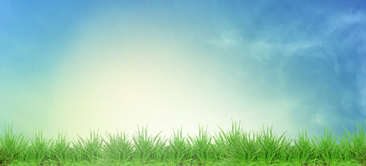 Fototapeta premium Spring lush green grass under beautiful sky. Banner design