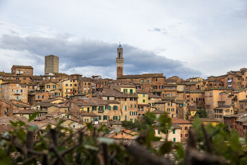 Obraz premium Cityscape With Tower. Historic City Skyline With Greenery. Compact City Architecture Highlighted By Central Tower And Natural Surroundings