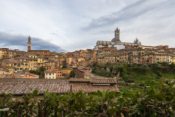 Obraz premium Vast Tuscan View. Expansive Tuscan Landscape Featuring Terraces And Towers. Wide View Of Siena Hills With Buildings And Lush Greenery