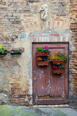 Naklejka premium Weathered Door Nestled In Timeless Siena Street Scene. Old Wooden Gateway Accented By Lush Geraniums And Mossy Textures In Tuscan Style