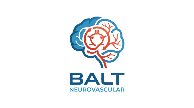 Logo of a human brain, half blue and half illustrating intricate red neurovascular structures with a circular flow pattern. Text BALT NEUROVASCULAR below.