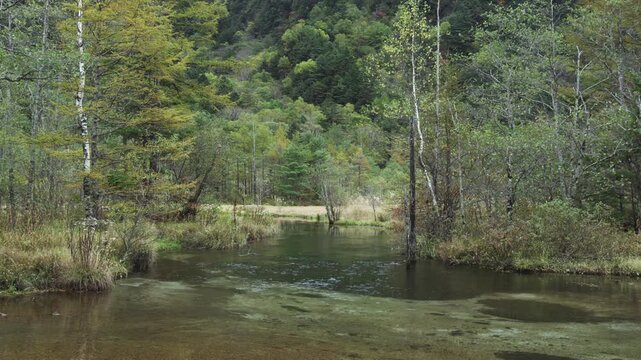 上高地 秋の田代湿原