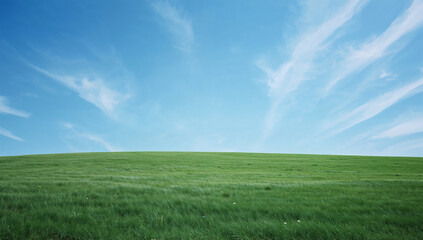 Obraz premium 日本の初夏を思わせる青空と緑の草地が広がる風景