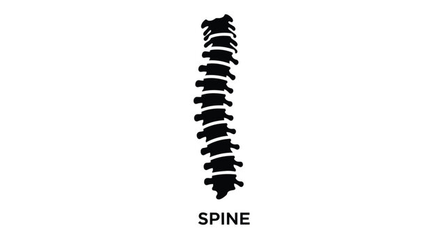 Black silhouette of a human vertebral column or spine isolated on a white background with the word spine written at the bottom.