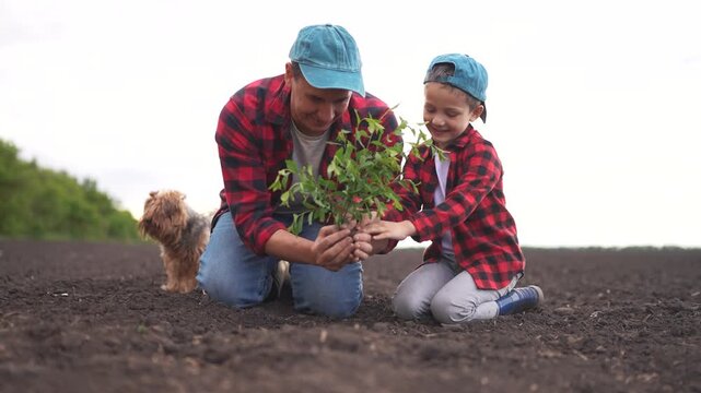 Father and daughter planting tree. A young farmer sprouts a tree with his son. Farmers planted seedlings in field. A father and his daughter are putting a tree lifestyle in the ground.