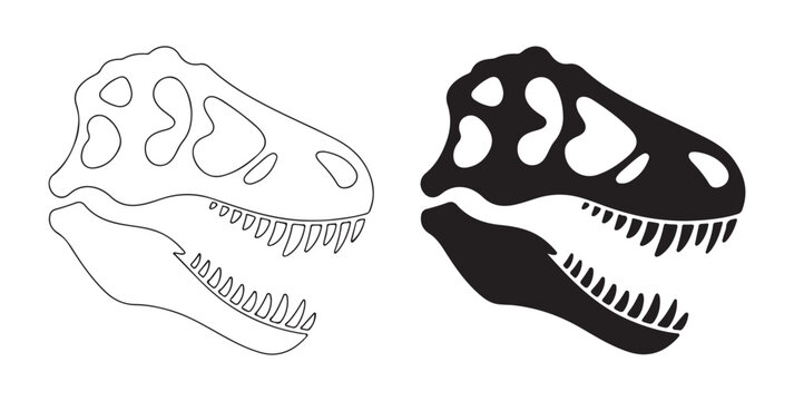 T-rex skull vector illustration. skeleton predator dinosaur head on white background, contour and silhouette