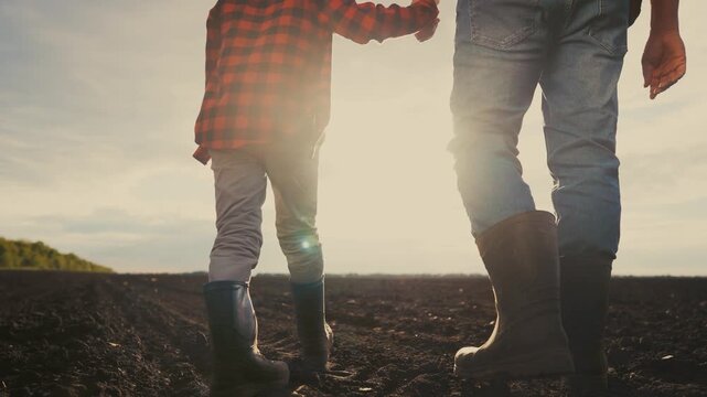 Two people walking in a field. Father walking his son through the legs of farmers. Farmers walk on the field with their families. Lifestyle a couple strolling through a meadow.