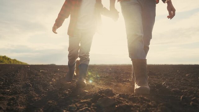 Two people walking in a field. Father walking his son through the legs of farmers. Farmers walk lifestyle on the field with their families. A couple strolling through a meadow.
