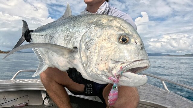 Bit Giant Trevally with small squid lure