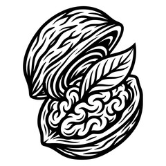 Fototapeta premium Walnut Nut with Leaf Organic Healthy Food Vector Illustration