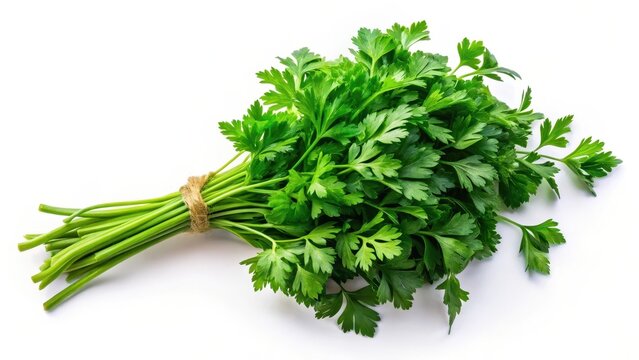 A photo of fresh parsley bunch on white background, vibrant green leaves, delicate stems, crisp texture, clean and pristine, minimalistic design, natu
