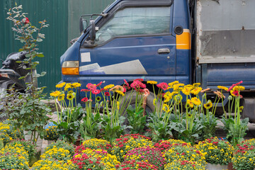 Naklejka premium Brightly colored flowers arranged along a roadside with a parked truck behind, showing street-side floral trade during the Tet holiday season in Vietnam.