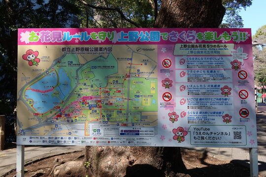 Ueno Park cherry blossom information sign in Ueno, Tokyo, Japan. March 11, 2026