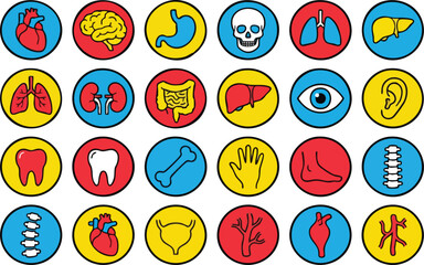 Fototapeta premium Human Internal Organs and Body Parts Flat Icon Set Vector