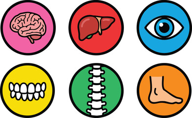Obraz premium Human Organ and Body Part Icon Set for Medical Education