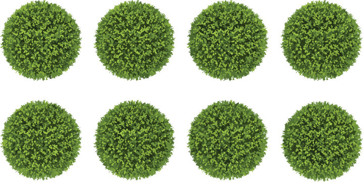 Set of green round topiary bush icons from top view vector illustration for architectural site plans garden landscaping design and outdoor park map layout