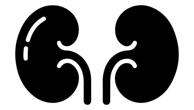 A simple illustration depicting two human kidneys with visible ureters