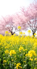 Fototapeta premium Vibrant yellow flowers and pink blossoms.