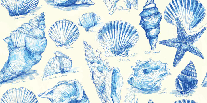 Vintage blue ink sketch seashell seamless pattern with starfish for coastal branding, textiles, and wrapping paper.