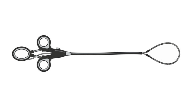 Laparoscopic grasping instrument with a looped wire snare at the end of a long shaft, featuring finger ring handles for manipulation.
