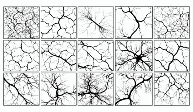 Set of fifteen abstract tree branch and root system silhouettes in square frames isolated on white background vector