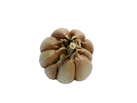 garlic isolated on white