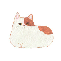 Cute Hand-painted Gouache Illustration of a Loafing White and Brown Cat, Cozy Sitting Calico Kitten © UYAOWL