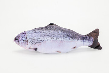 Fototapeta premium Salmon-Shaped Pet Toy