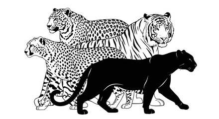 Detailed illustration of four big cats leopard cheetah tiger and panther walking together black and white line art on plain background © PABITRA
