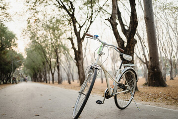 Naklejka premium Vintage bicycle park road tree autumn nature outdoor leisure travel exercise vintage bicycle leaning on quiet park road under tall tree in soft autumn light creating peaceful outdoor leisure mood