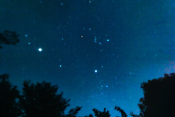 Fototapeta premium Night sky star constellation astronomy silhouette tree nature landscape blue dark tranquil night sky star constellation astronomy silhouette tree nature landscape blue dark tranquil scene outdoor