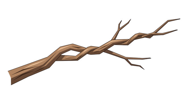 Twisted Brown Tree Branch.