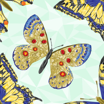 Seamless texture butterfly Fennel Swallowtail  and  butterfly Parnassius beautiful meadow and forest insect polygons  vector illustration editable hand draw