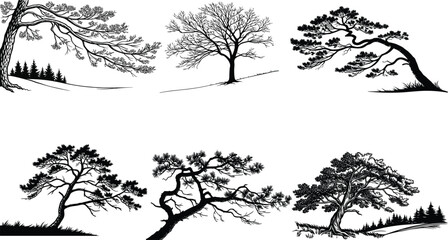 Fototapeta premium Collection of six black and white tree silhouettes in various landscapes