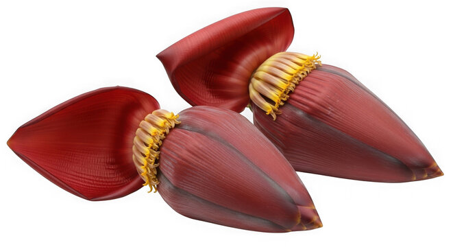 Two red stylized lips with golden highlights in close-up isolated on transparent background