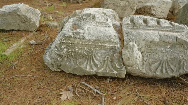 Ruins of the ancient Lycian city of Phaselis scattered throughout the pine forest on the seaside.