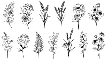 Botanical Vector Graphic Illustration Set Featuring Diverse Hand-Drawn Line Art Flowers and Leaves Collection. This Delicate Floral Design Bundle Includes Nature Elements Perfect for Creative Projects © Arun