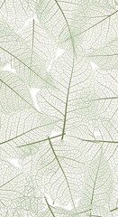 Obraz premium Elegant seamless pattern of delicate transparent skeleton leaves.