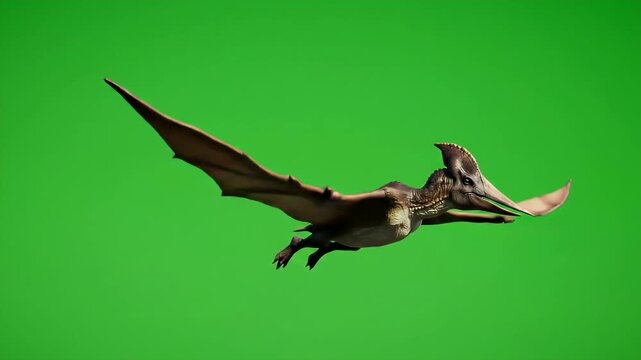 Majestic extinct animals A prehistoric pterosaur soaring through the sky on a green screen, ready for creative integration